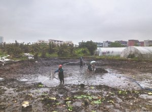 城区河道鱼塘清淤